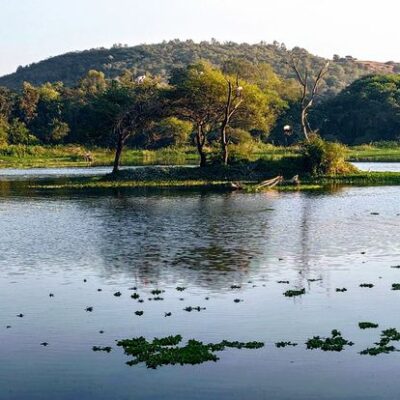 Pune Civic Officials Reinstated After Lake Crisis