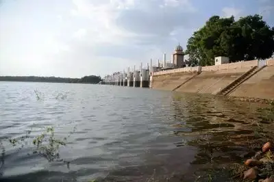 Chennai Water Bodies Shrink Amid Urban Expansion