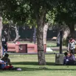 Delhi Heatwave Response Focuses On Oxygen Parks