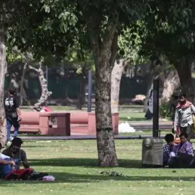 Delhi Heatwave Response Focuses On Oxygen Parks