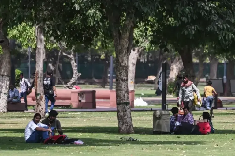 Delhi Heatwave Response Focuses On Oxygen Parks