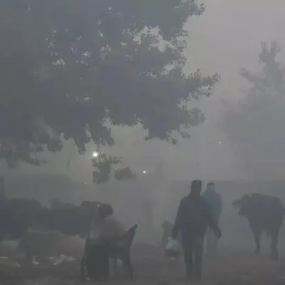 Delhi NCR Air Quality Stays Critically Polluted