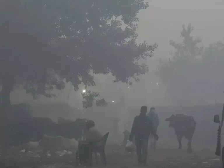 Delhi NCR Air Quality Stays Critically Polluted