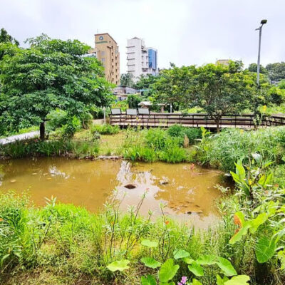 Mumbai Launches Emergency Cooling For City Trees