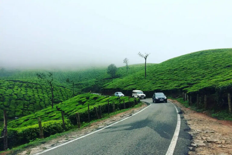 Hyderabad Rainfall Drives Shift In Hill Trips