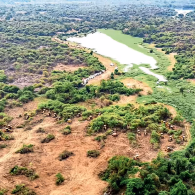 Hyderabad Urban Forest Wins Relief From Court
