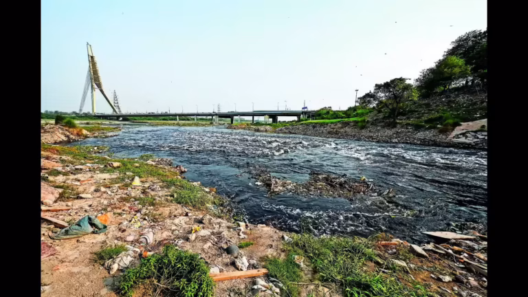 Noida Sewage Failures Deepen Yamuna Pollution