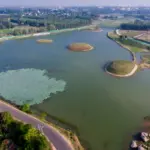 Bengaluru Lake Revival Expands Urban Ecological Restoration