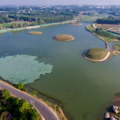 Bengaluru Lake Revival Expands Urban Ecological Restoration