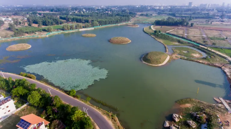 Bengaluru Lake Revival Expands Urban Ecological Restoration