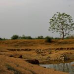 Maharashtra Groundwater Stress Deepens Before Monsoon