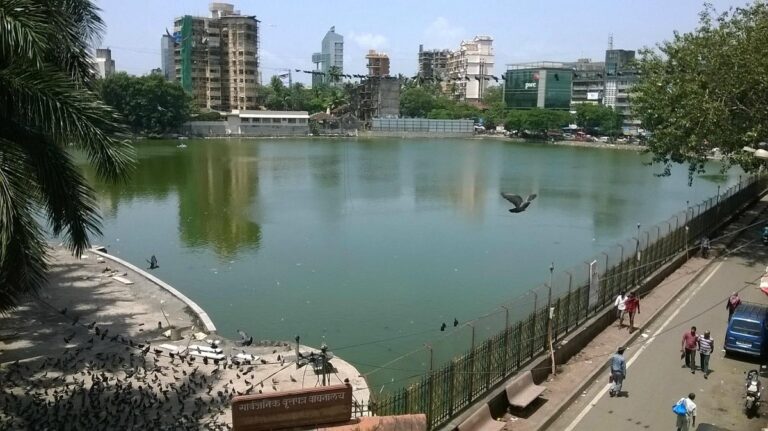 Mumbai Heritage Lake Faces Ecological Recovery Challenge