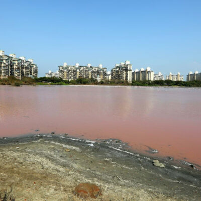 Mumbai Lake Levels Deepen Urban Water Stress