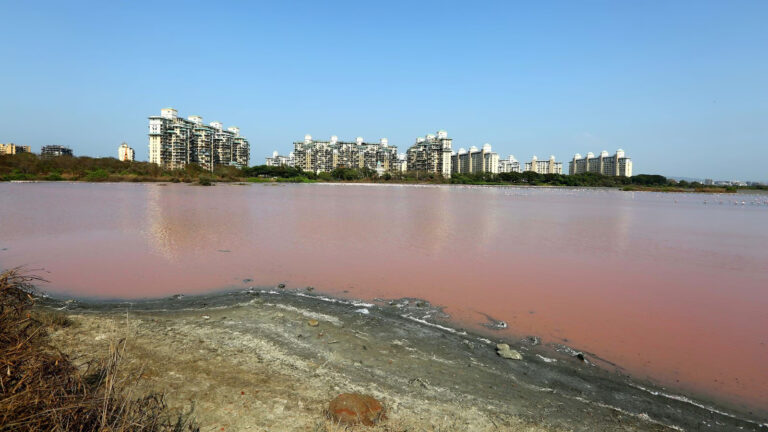 Mumbai Lake Levels Deepen Urban Water Stress