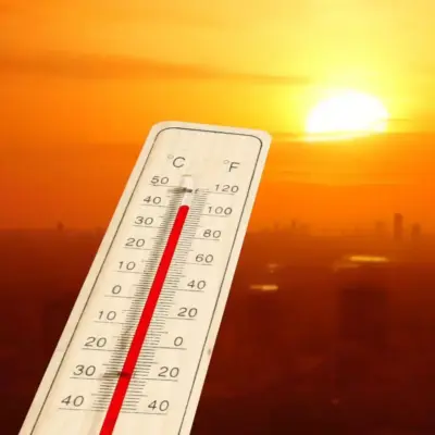Hyderabad Heat Stress Raises Urban Cooling Concerns