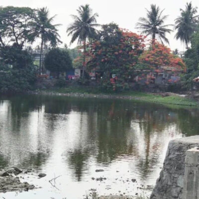 Vasai Virar Water Bodies See Green Revival
