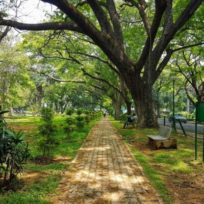 Bengaluru Creative Community Highlights Ecological Conservation Through Visuals