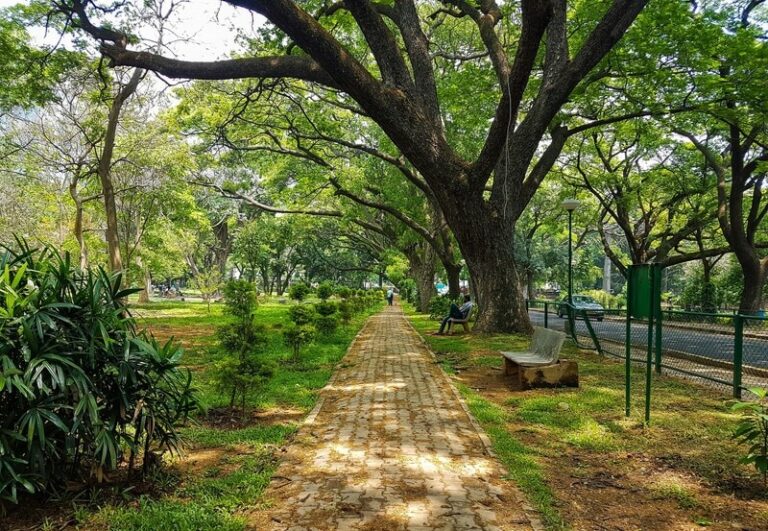 Bengaluru Creative Community Highlights Ecological Conservation Through Visuals
