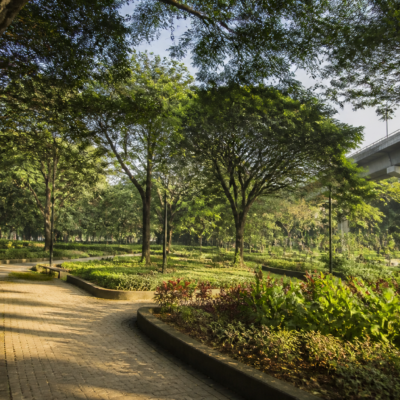 Public park greenery in Bengaluru, relevant to the withdrawn Karnataka Garden Bill