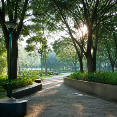 Karnataka Cabinet meeting linked to the withdrawal of the controversial parks bill