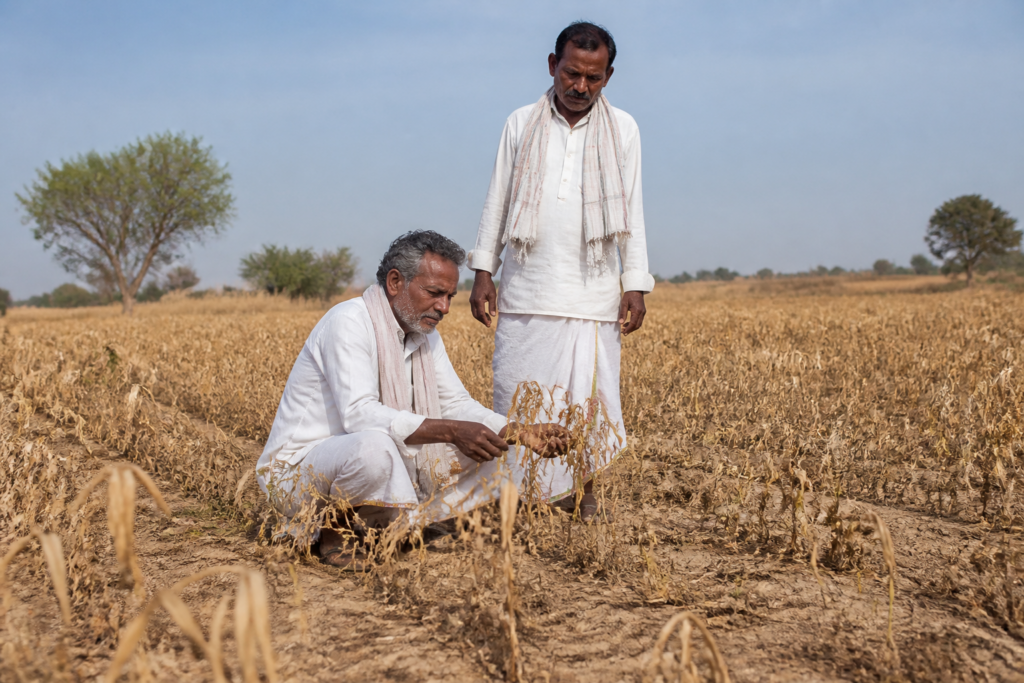 Karnataka farmers inspecting drought-affected agricultural fields after crop damage caused by a rainfall deficit
