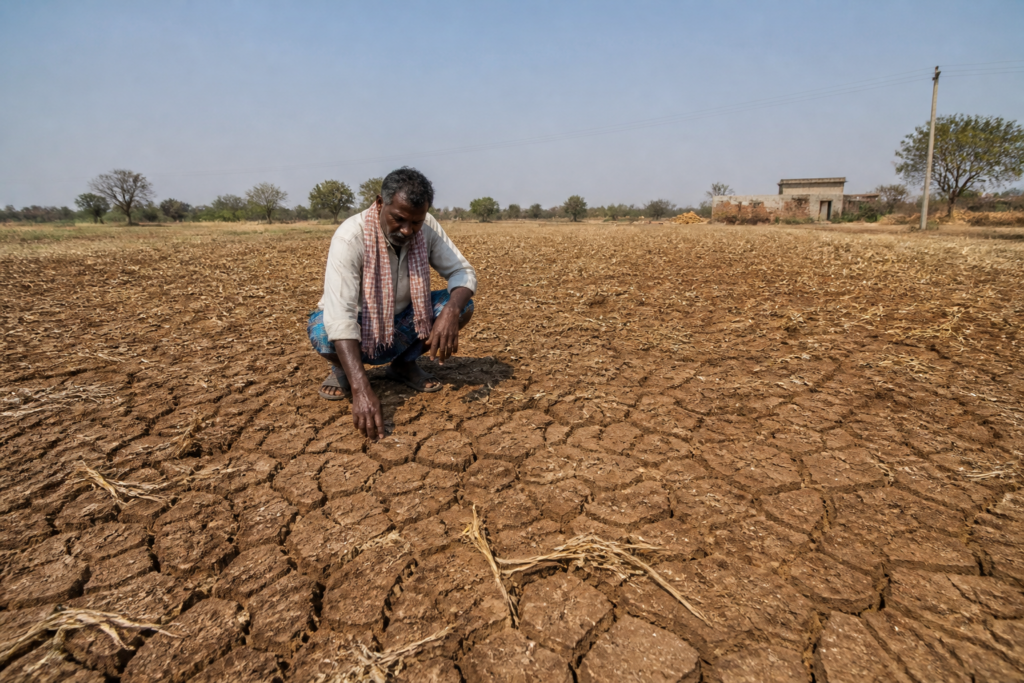 Karnataka drought-affected farmland with dry soil and sparse crops under a harsh sky
