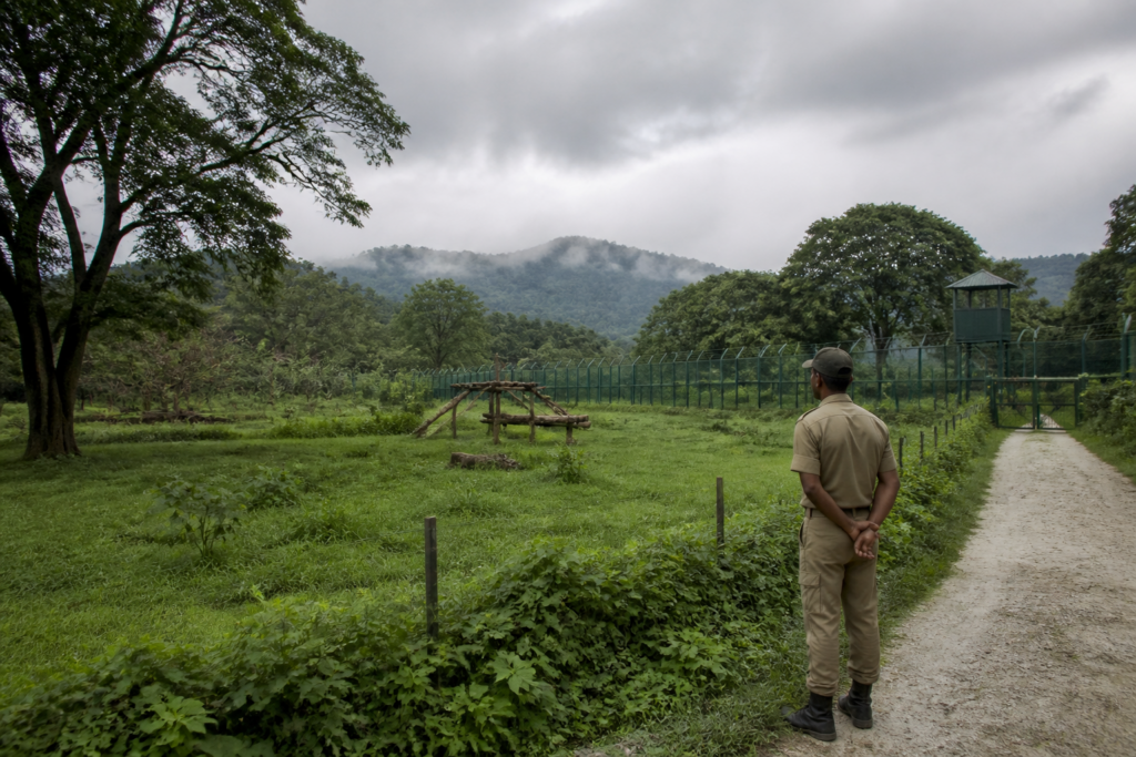 Bengal Safari Park wildlife enclosure amid concerns over animal deaths and care