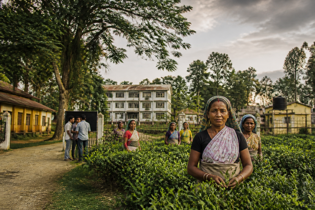 West Bengal government vacancies announcement and tea garden workers receiving state assistance