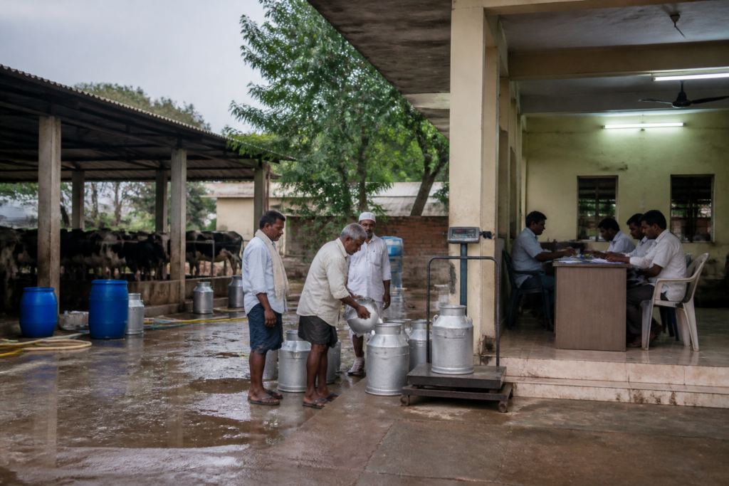 Ballari Milk Union FIR linked to alleged diversion of cattle insurance funds