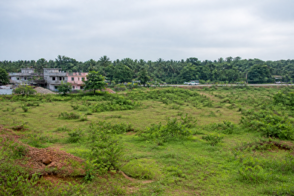 Khurda Ayush institute relocation site near Jatni, Odisha, with dense vegetation and open government land.