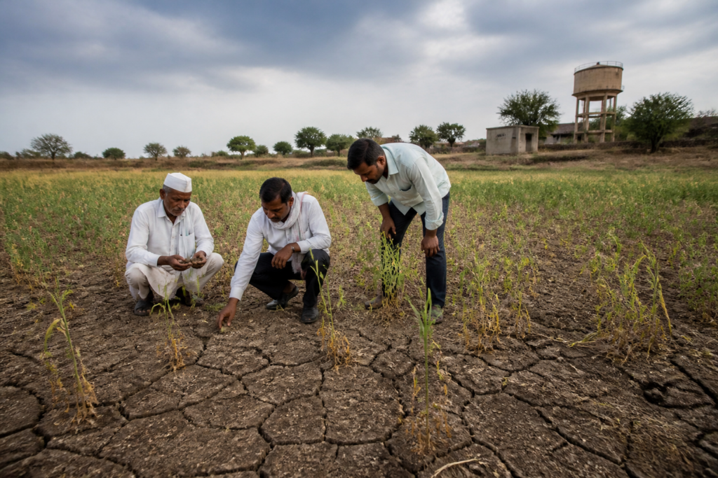 Maharashtra drought-hit talukas with dry farmland and farmers assessing crop damage in Pune district