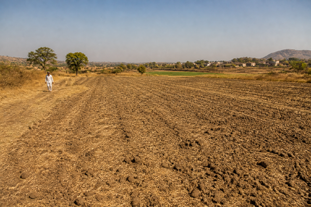 Maharashtra heatwave affecting dry farmland under a harsh October sun