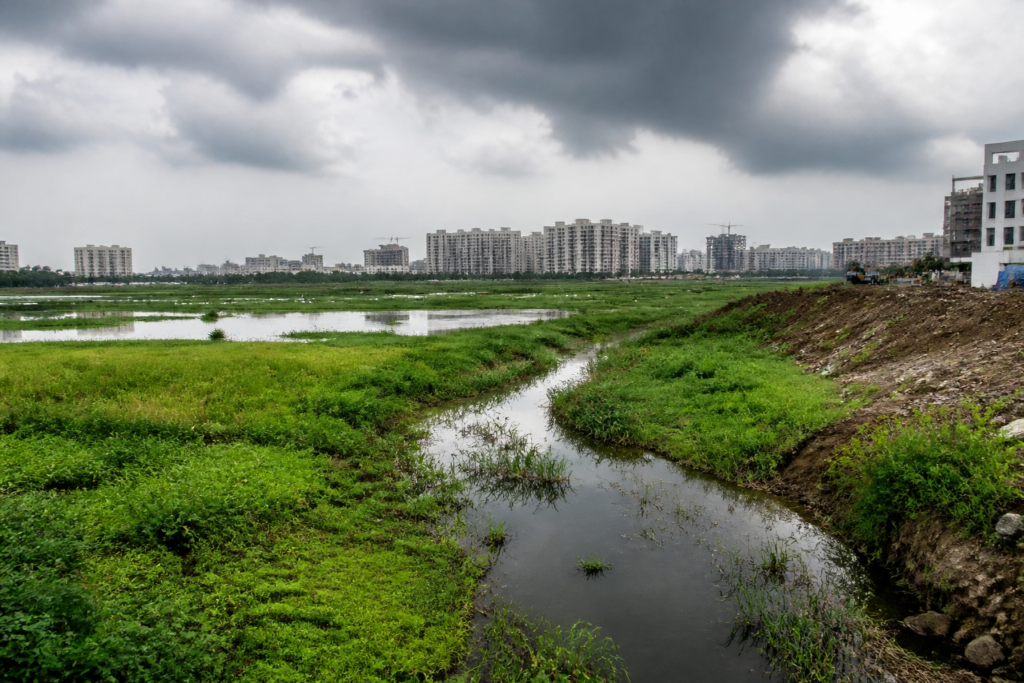 Pallikaranai wetland buffer zone and drainage channels amid Chennai development