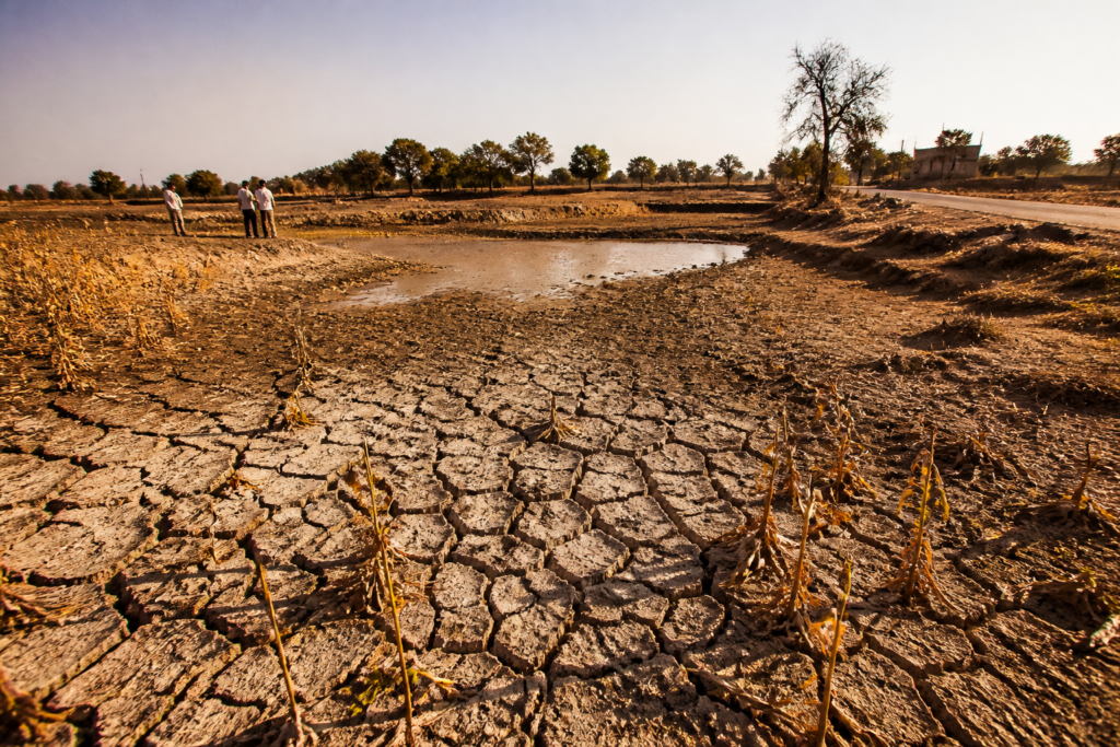 Karnataka drought-hit taluks facing dry farmland and water stress