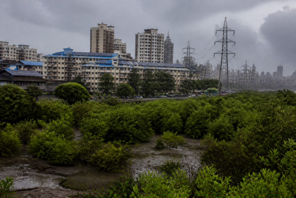 Planetary vital signs study highlights climate risks for cities and infrastructure