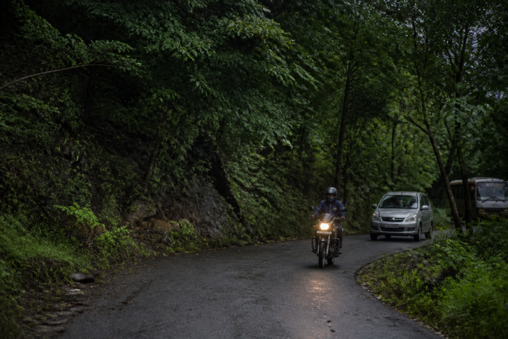 Forest road near Sinhagad linked to the reported leopard attack on a motorcycle