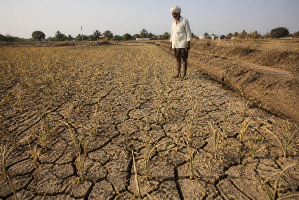 Drought-hit farmland in Karnataka with dry soil and parched crops