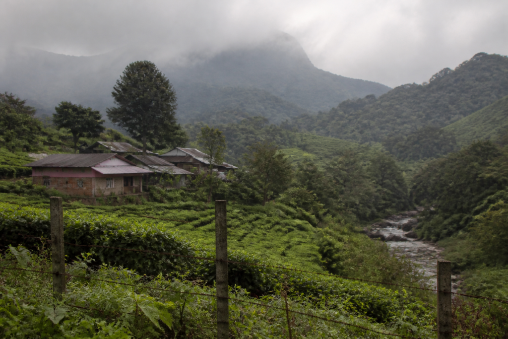 Cardamom Hill Reserve landscape near Chinnakanal with fencing and forested hills in Idukki