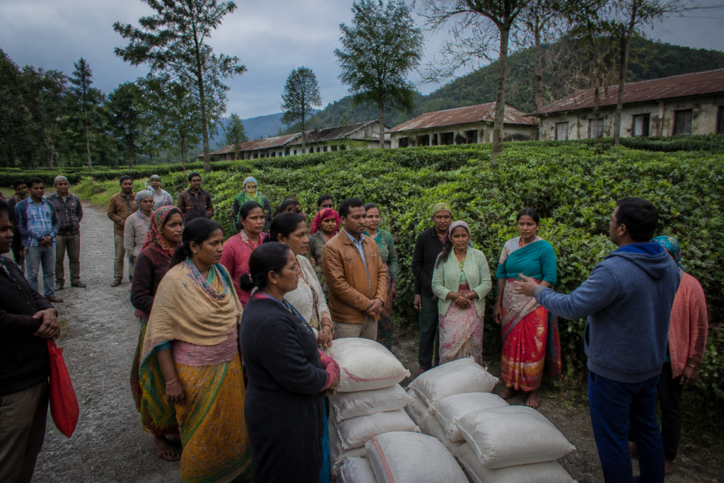 Closed tea garden workers in north Bengal receiving government assistance