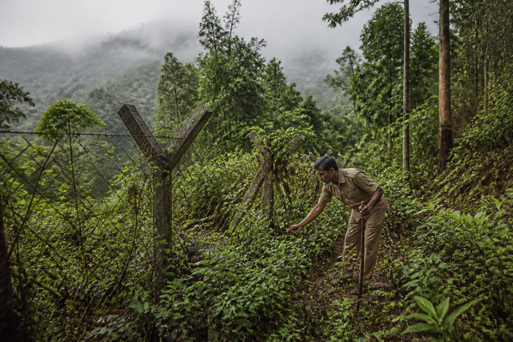 Karnataka forest department workers examining natural forest growth beside an old wire fence