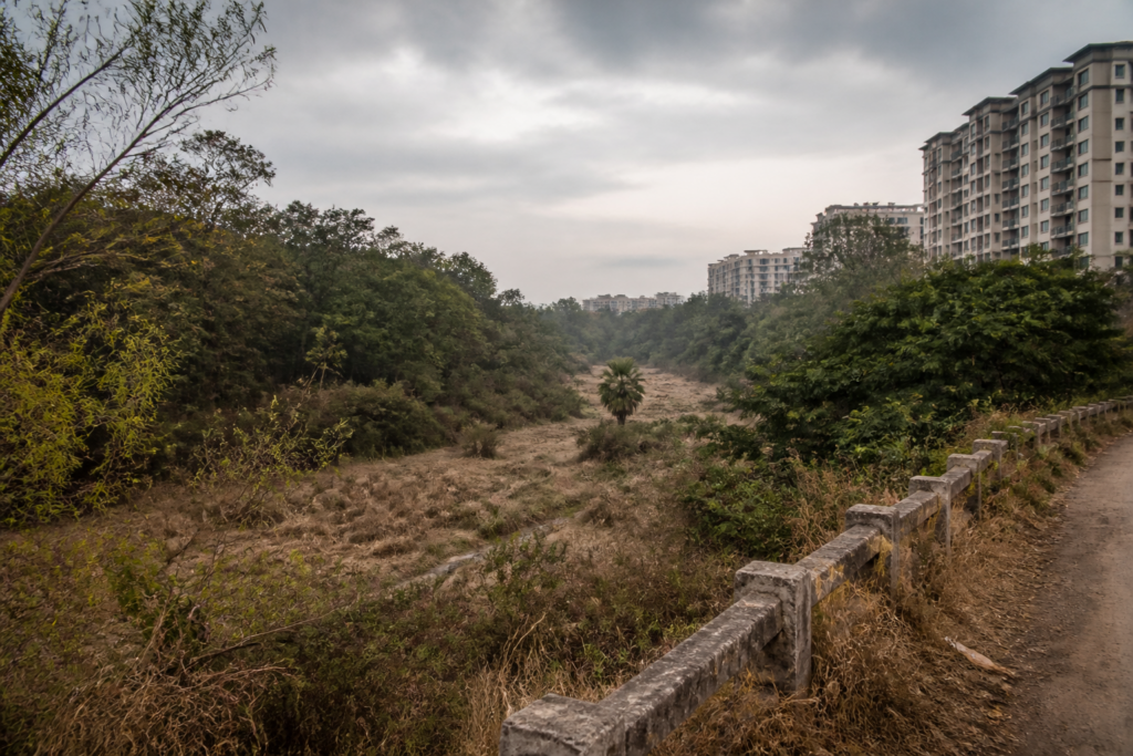 Roerich Estate elephant corridor near Bengaluru threatened by barriers and surrounding development