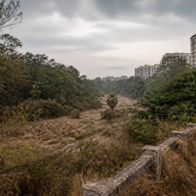 Roerich Estate elephant corridor near Bengaluru threatened by barriers and surrounding development