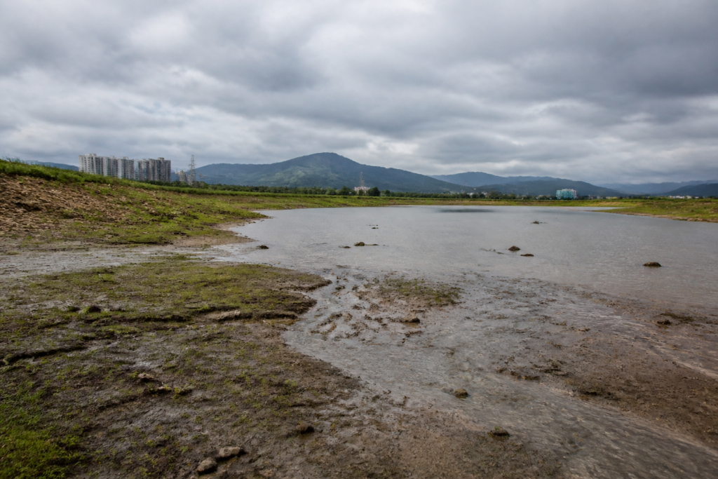 Chennai reservoirs receive marginal inflow after the northeast monsoon begins
