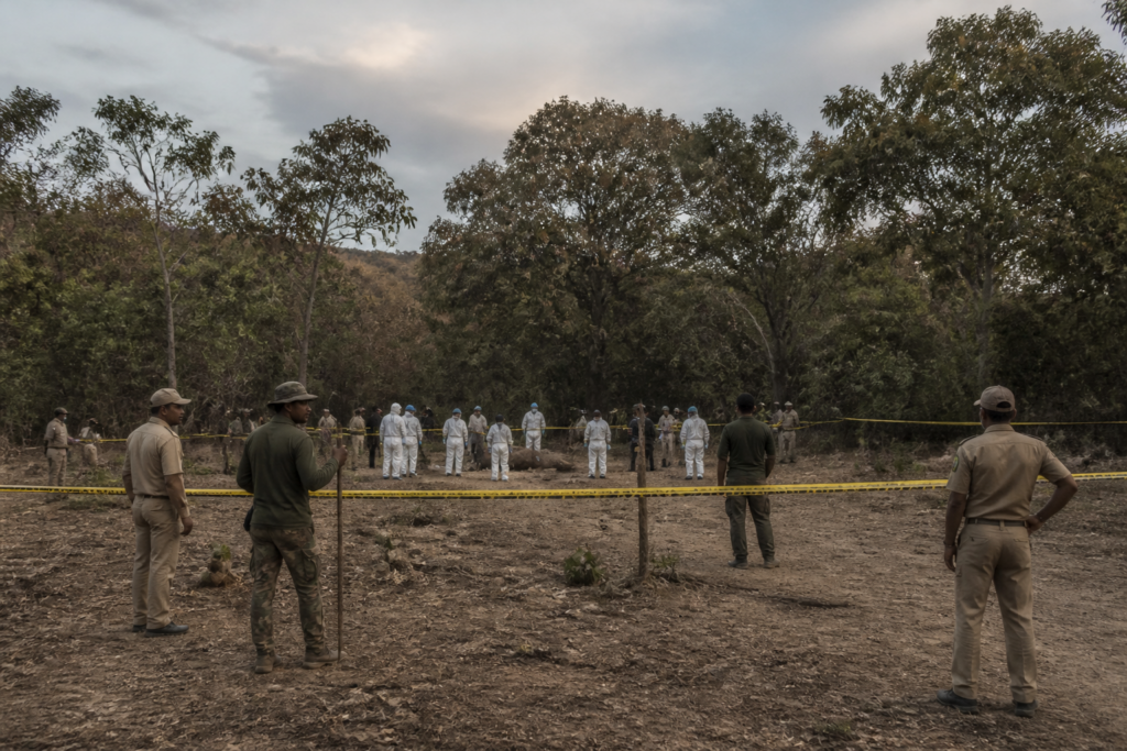 Coimbatore elephant anthrax response at a forest carcass disposal site