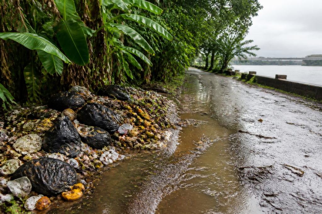 Karumalloor waste dumping beside a road near the Periyar River