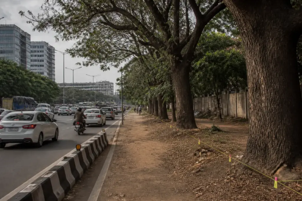 Hebbal Short Tunnel Project route in Bengaluru where tree felling has been halted by the NGT