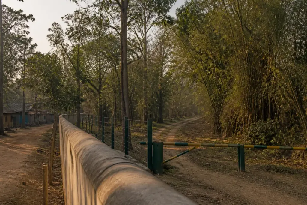 Pench Tiger Reserve tiger habitat near Chhindwara, linked to a fatal tiger attack.