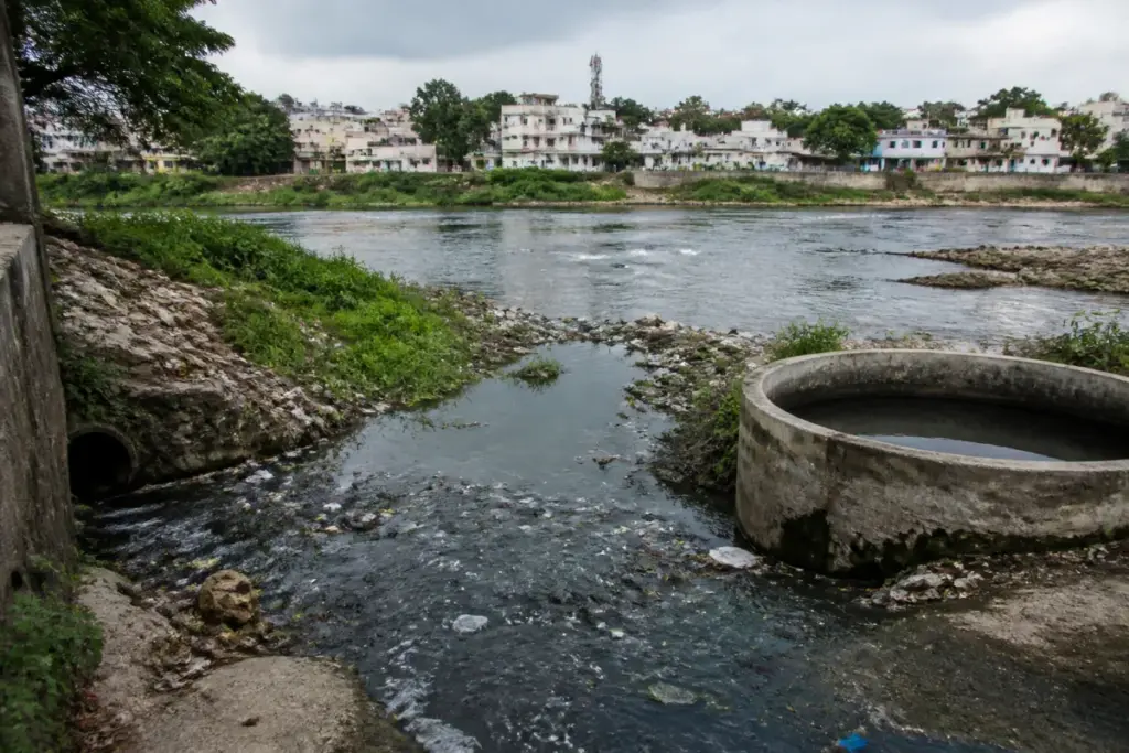 Tamiraparani sewage pollution concern near Tirunelveli riverbank