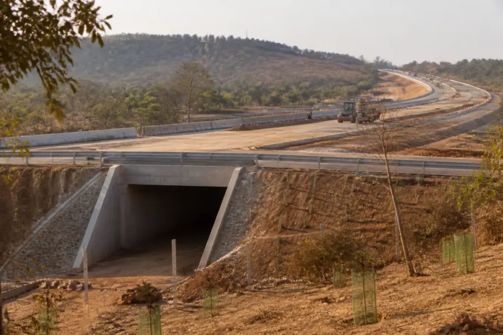 Varanasi-Ranchi-Kolkata Expressway construction corridor with wildlife mitigation structures in Bihar