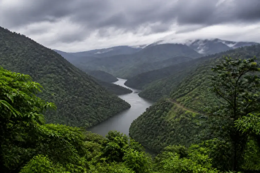Sharavathi pumped storage project area in Karnataka's forested Sharavathi Valley